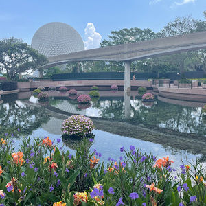 Meet your Posher, Annika